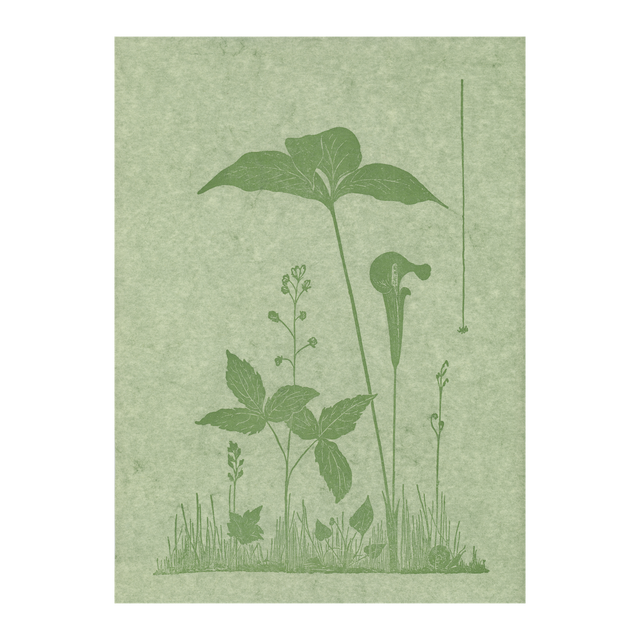 Gwen Frostic ③　the caprice immensity The Caprice Immensity by Gwen Frostic | Goodreads