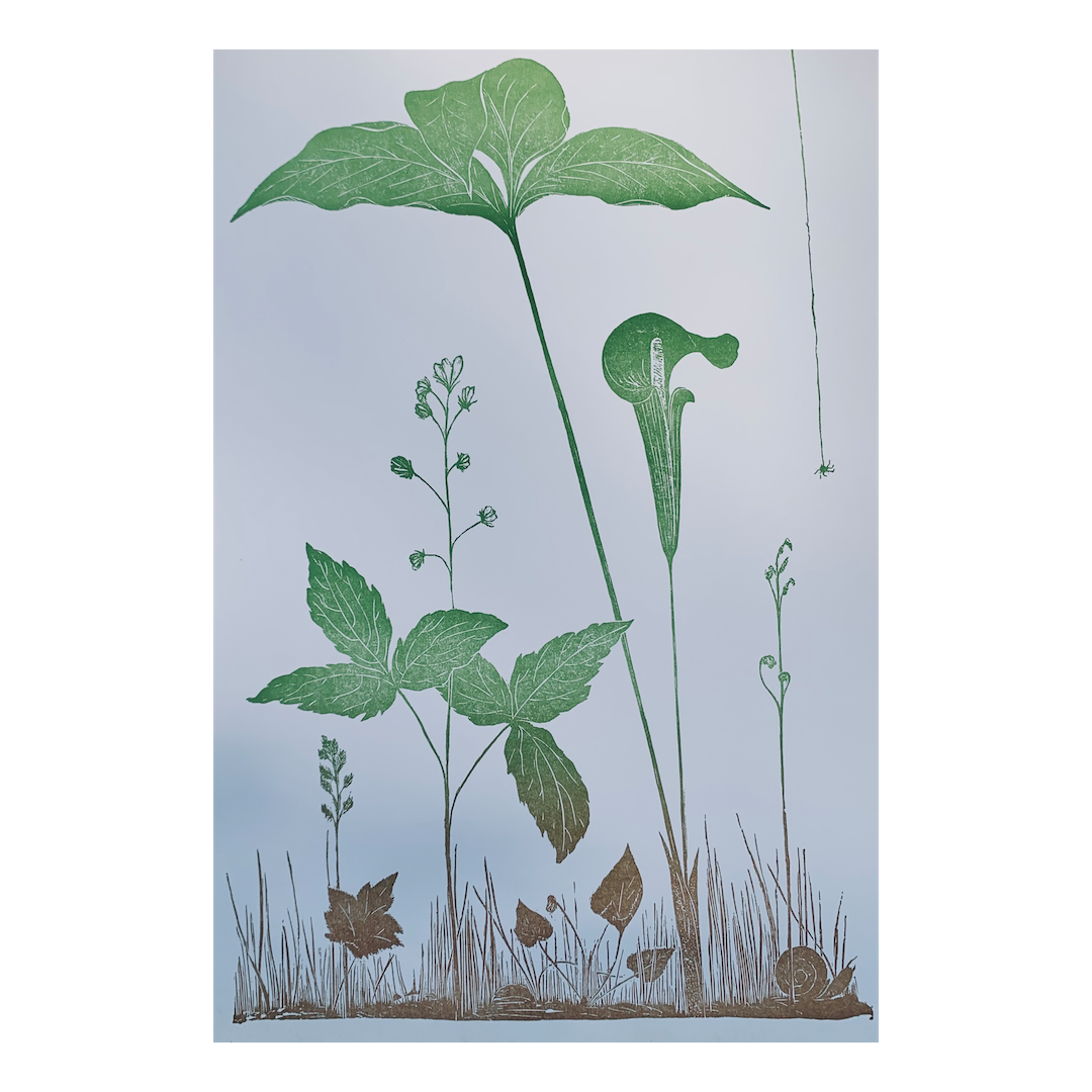 Gwen Frostic ②　The Enduring Cosmos Color Frameable Prints | Gwen Frostic Prints