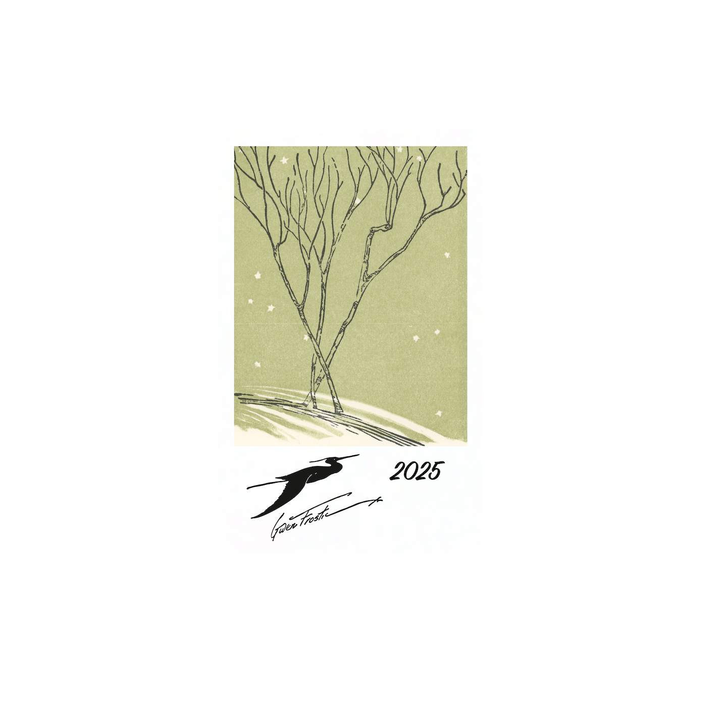 Parrots Mini Calendar 2025